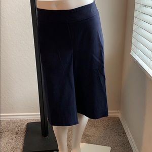 New Zac & Rachel plus size navy shorts